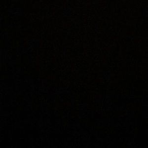 Meet your Posher, Mara